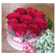 rozsadoboz--kicsi--de-gyonyoruseges