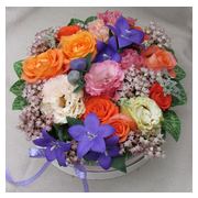 mosolyfakaszto-viragdoboz--l-meretben